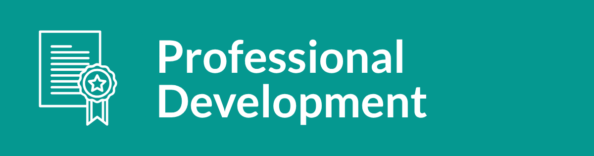 District-Professional development 1